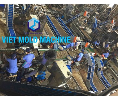 Cashew shelling machine system