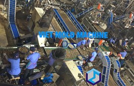 Hệ thống máy cắt hạt điều tự động tất cả các cỡ hạt điều công suất 40tấn/ngày ca