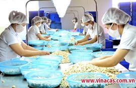 Processing industry development: Improving the competitiveness of agricultural exports