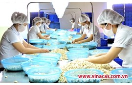 Processing industry development: Improving the competitiveness of agricultural exports