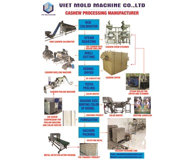 Cashew Processing Manufacture