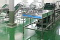 VACUUM PACKGING LINE