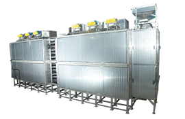 CONTINOUS CONVEYOR DRYER FOR CASHEW KERNELS