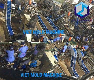 Thiết kế nhà máy chế biến hạt điều 30 tấn một ngày